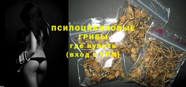 прущие грибы Белоозёрский