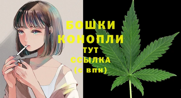 стаф Белокуриха