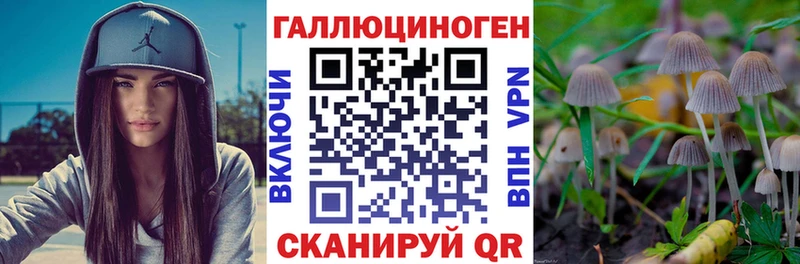 кракен tor  Энем  Псилоцибиновые грибы мицелий 